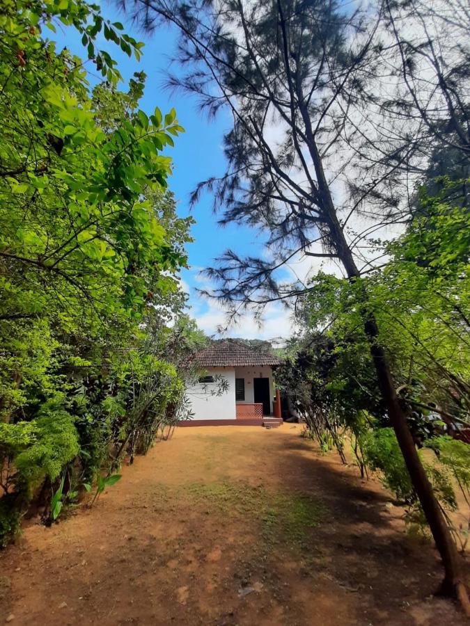 Tusker Tribe Hostel Gokarna  Eksteriør billede