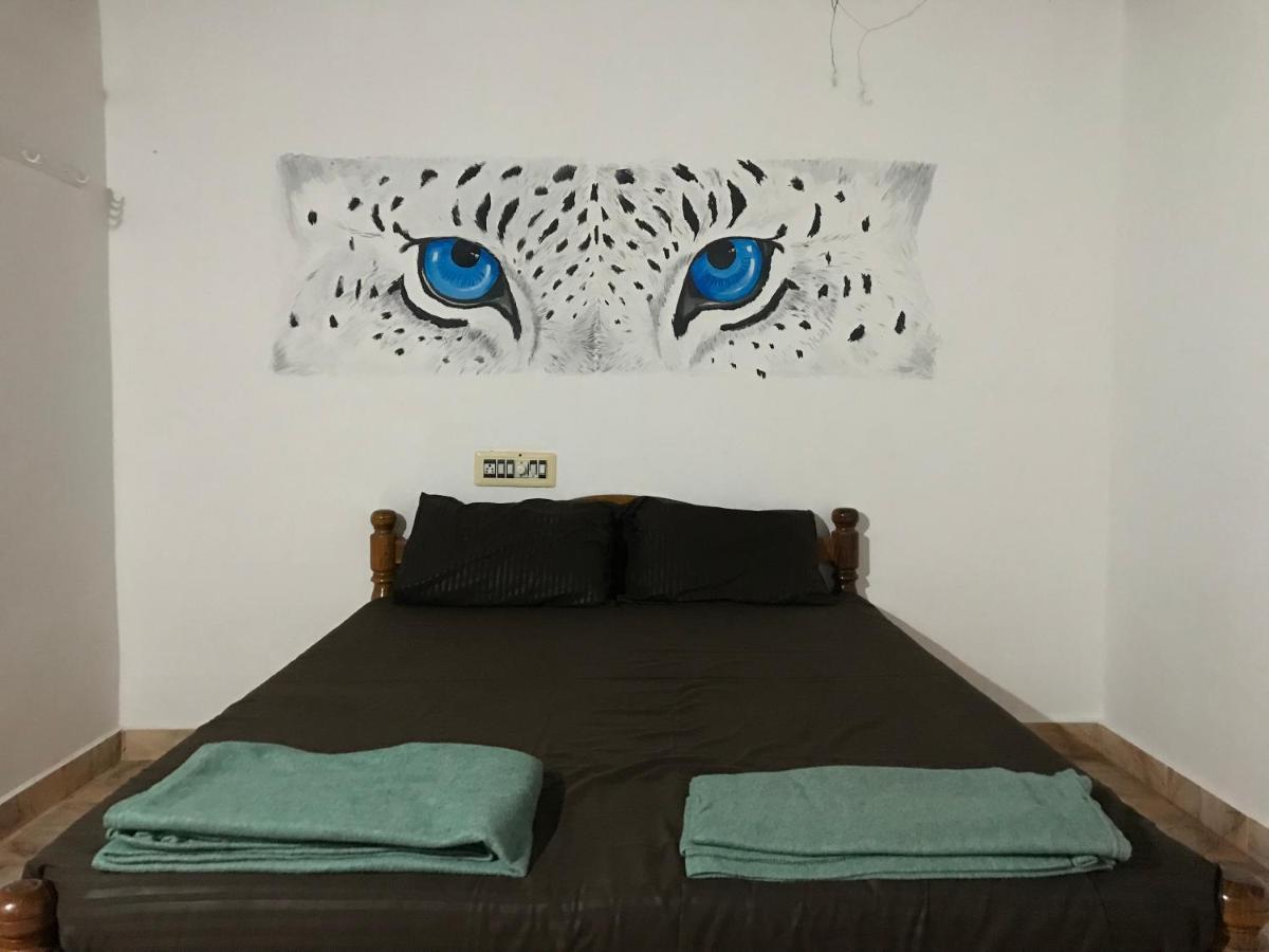 Tusker Tribe Hostel Gokarna  Eksteriør billede